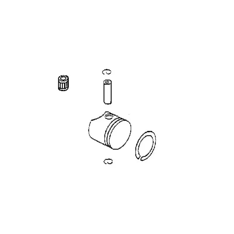 Piston taille haies Echo Retour Gratuit