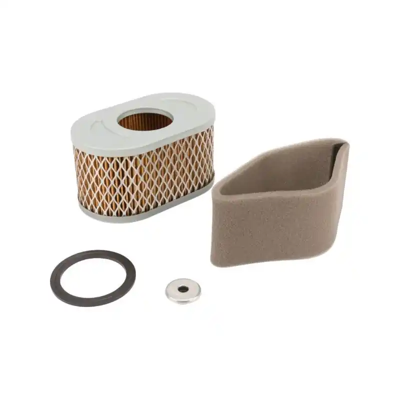 Filtre à air moteur motoculteur Briggs et Stratton Meilleur Prix