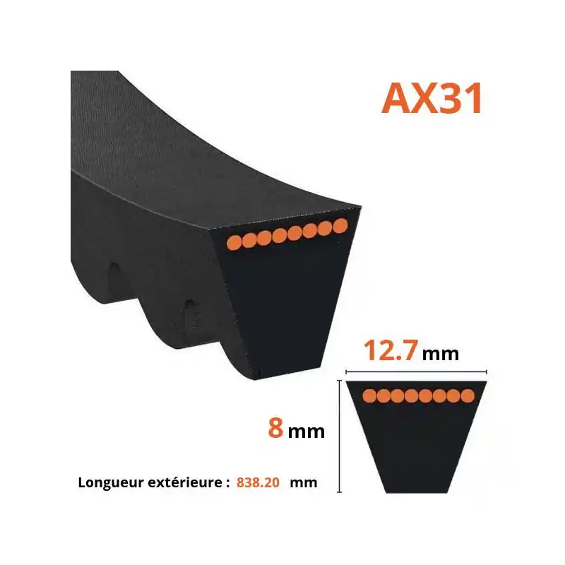 Courroie crantée trapézoïdale AX31 Offre Exclusive