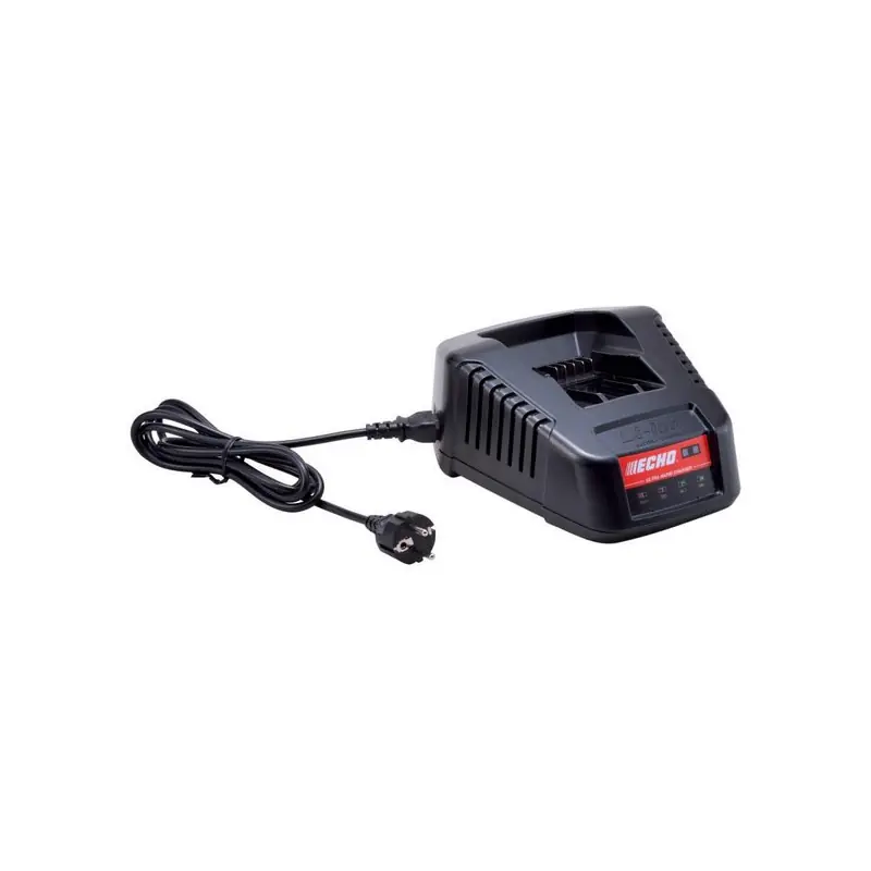 Chargeur ultra rapide appareils à batterie Echo 50.4 V Petit Prix