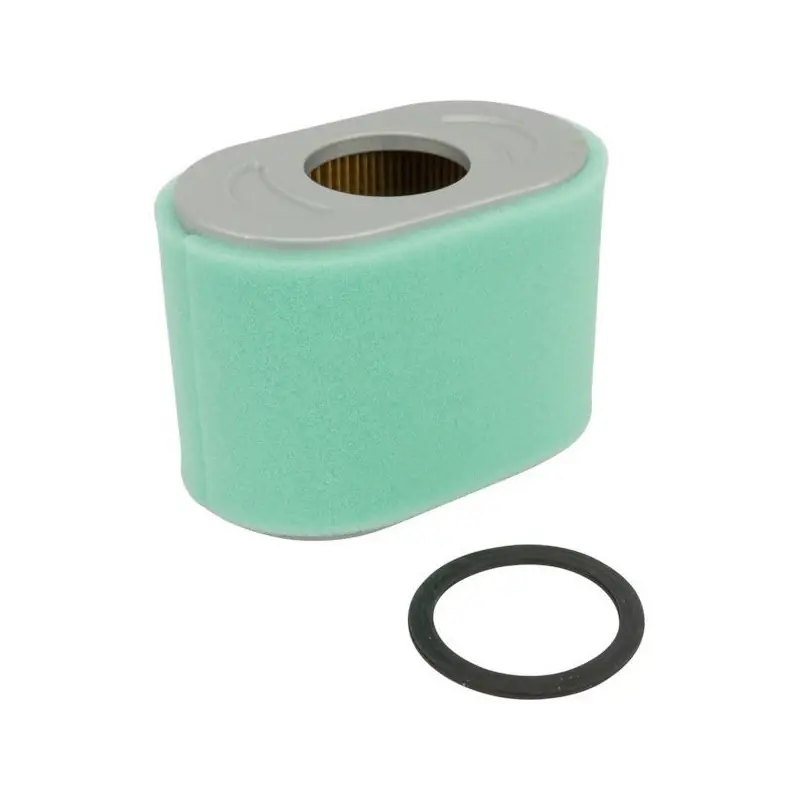 Super Prix Filtre à air moteur motobineuse Briggs et Stratton