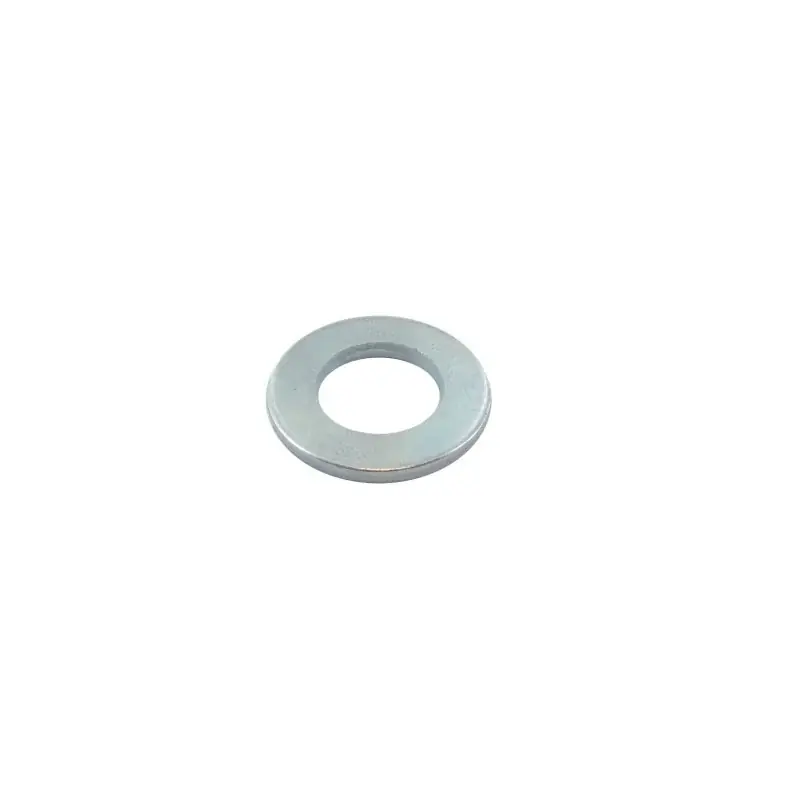 Usine Directe Rondelle plate GGP – CASTELGARDEN 112521350/0