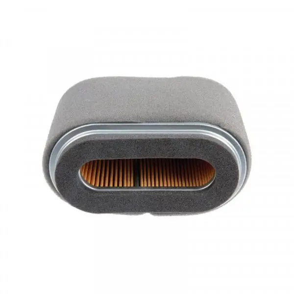 Petit Prix Filtre à air 17210Z1E801 HONDA