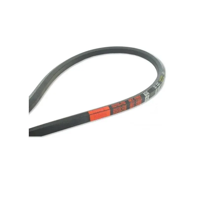 Courroie hexagonale BB120,25 3165mm Jusqu&rsquo;à Épuisement Des Stocks