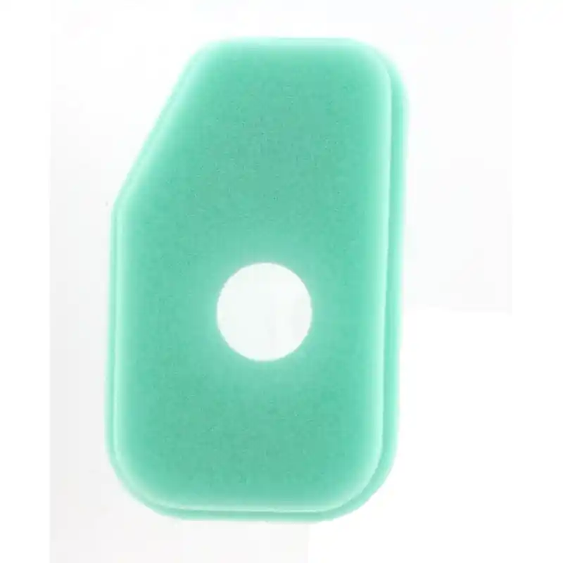 Meilleure Vente FILTRE A AIR BRIGGS