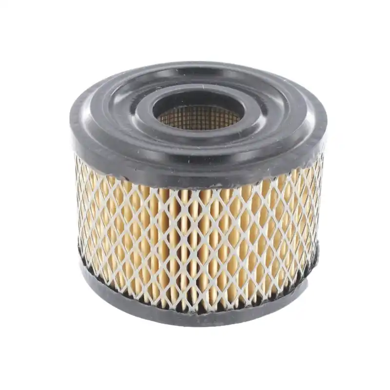 Top Vente FILTRE A AIR BRIGGS