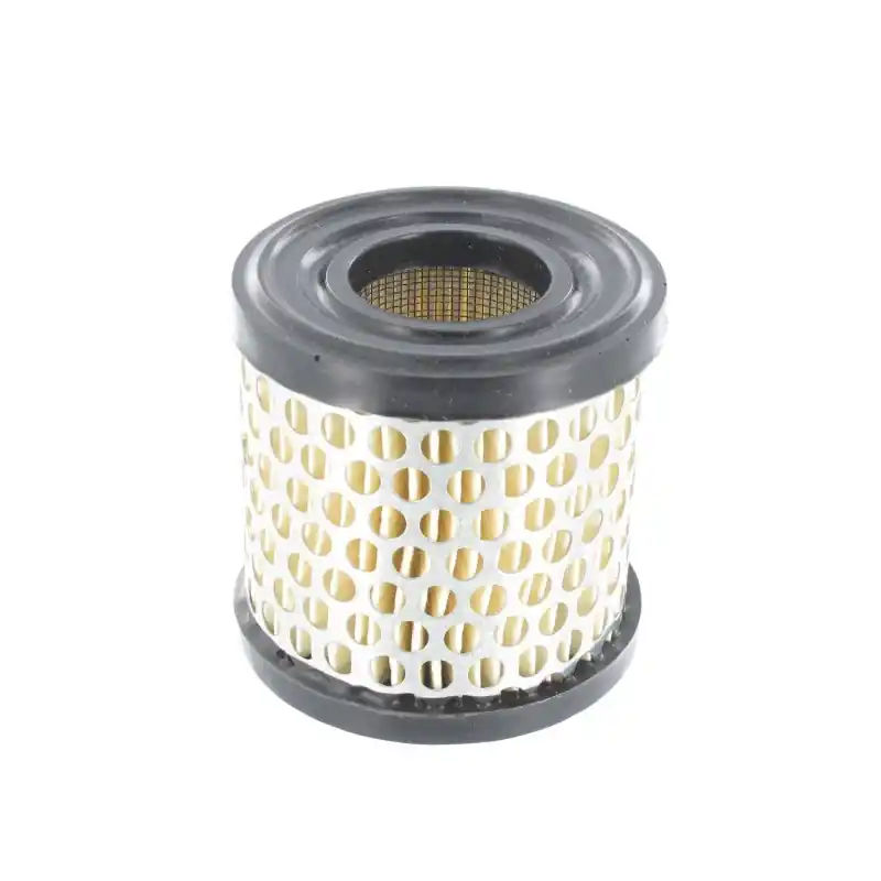 Produit De Marque FILTRE A AIR BRIGGS