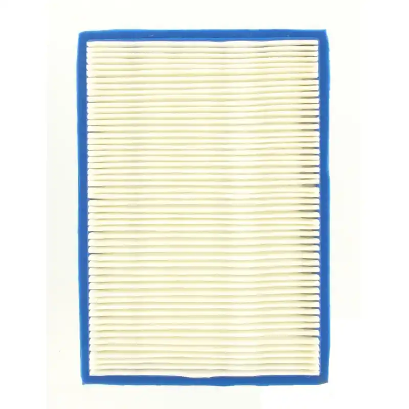 FILTRE A AIR BRIGGS Vente Directe