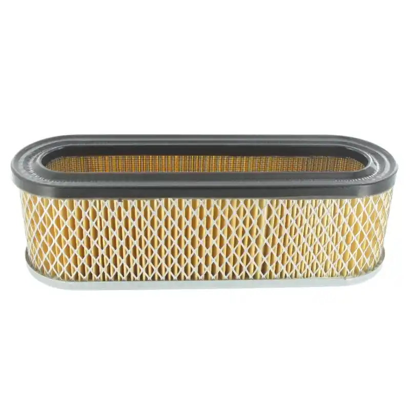 Nouvelle Collection FILTRE A AIR BRIGGS