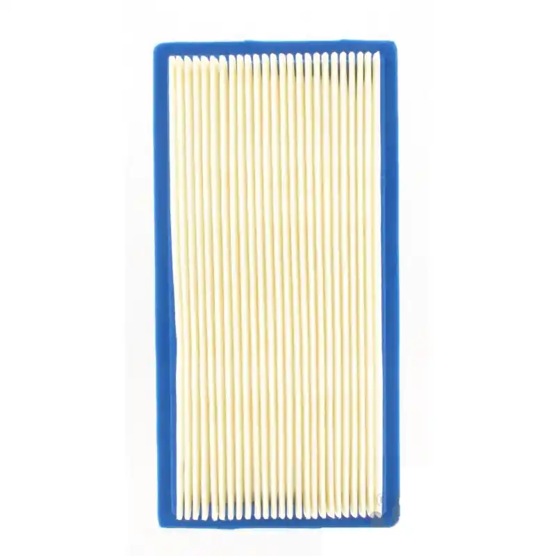 FILTRE AIR BRIGGS Achetez Aujourd&rsquo;hui