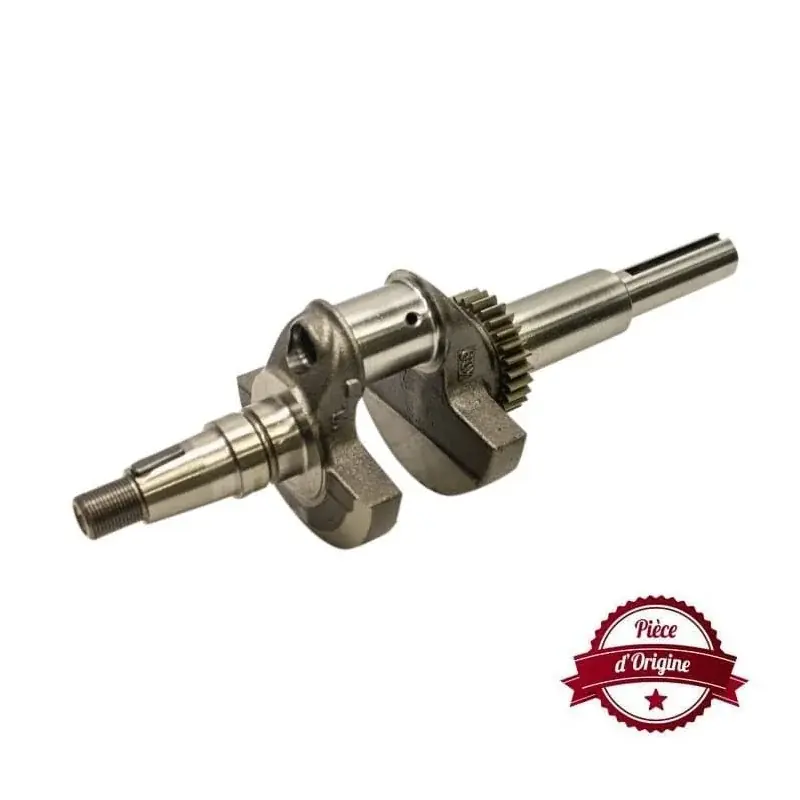 Expédition Rapide Vilebrequin Briggs et Stratton 692159