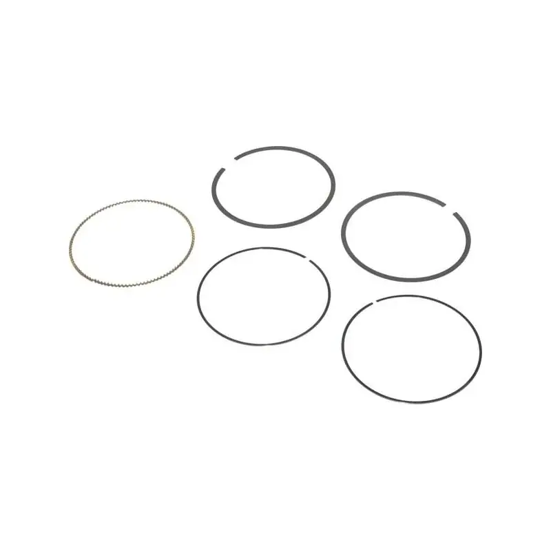 Kit de segments BRIGGS ET STRATTON 797011 Nouveauté