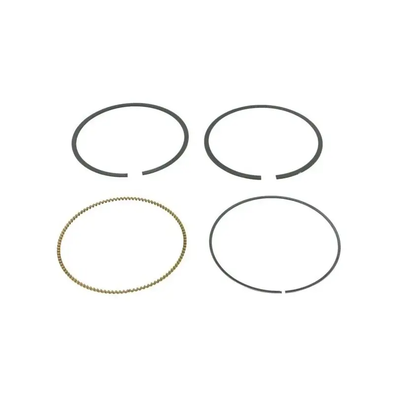 Segments Briggs et Stratton 792306 – 792308 Petit Prix