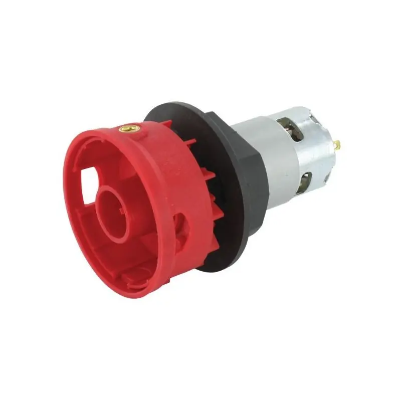 Certifié Moteur 24V débroussailleuse Solo