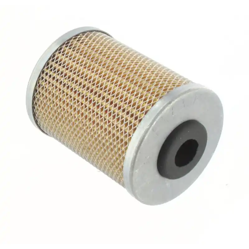 Bon Plan Filtre diesel RUGGERINI