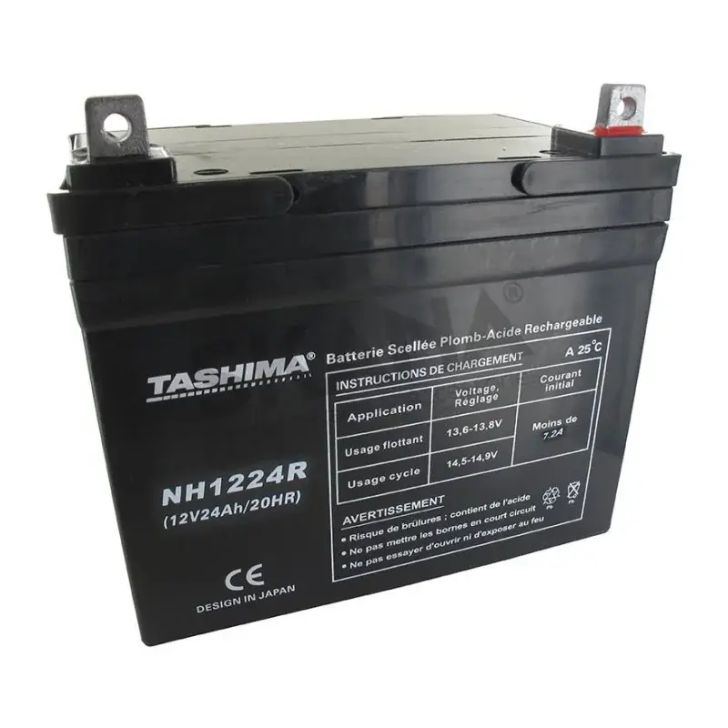Batterie 12v 24a TASHIMA NH1224R Livraison Express