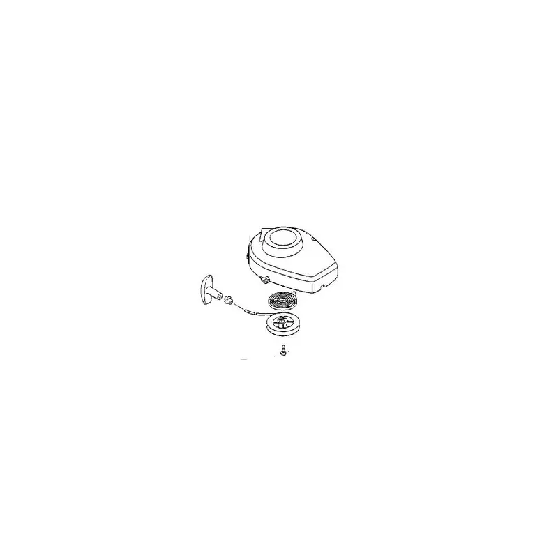 Populaire Lanceur taille haies Echo HC1600, HC2100, HC2300
