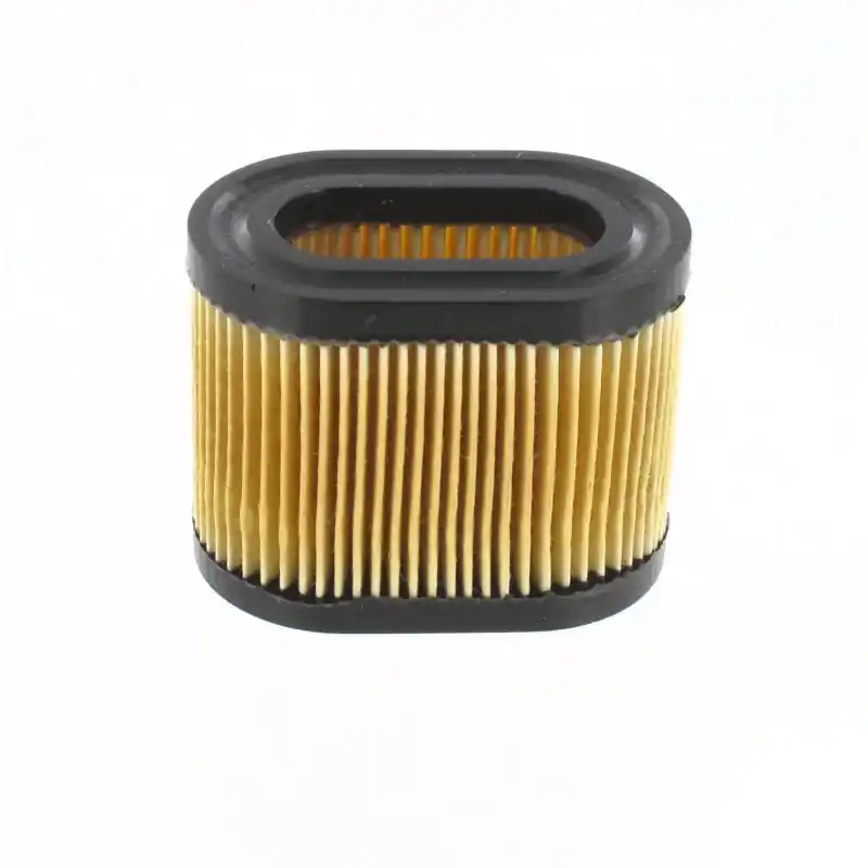 Solde Filtre à air TECUMSEH