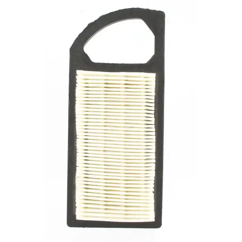 Prix Choc Filtre à air BRIGGS & STRATTON