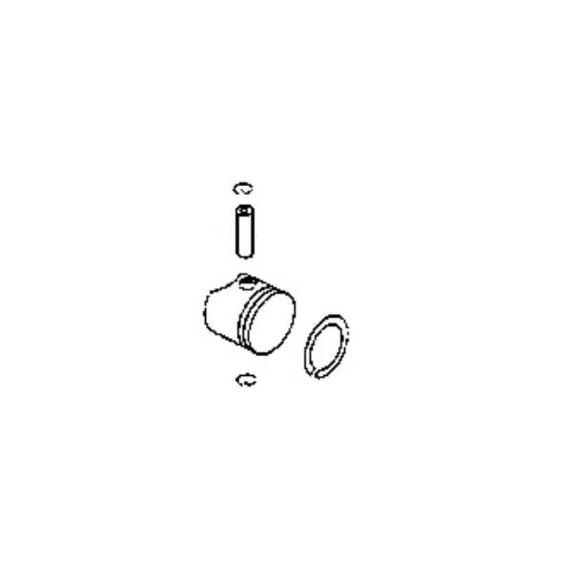 Piston taille-haies Echo Offre Du Jour