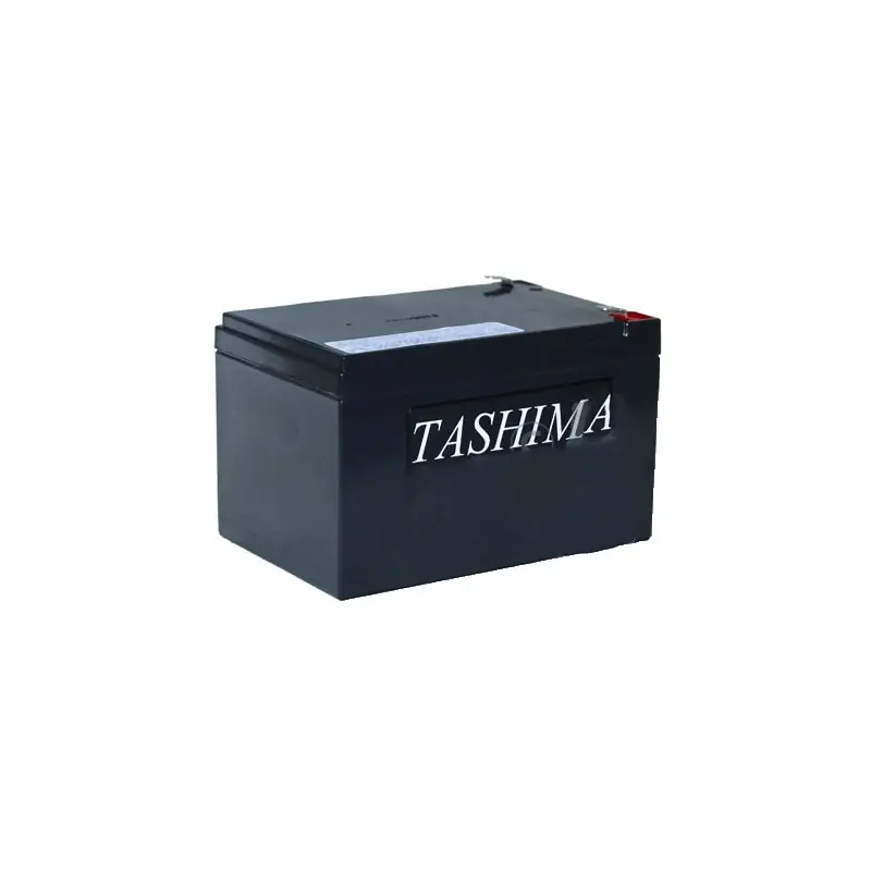 Acheter Direct Batterie 12V, 12A. L 150, l 95, H 93mm, + à gauche 100% étanche.