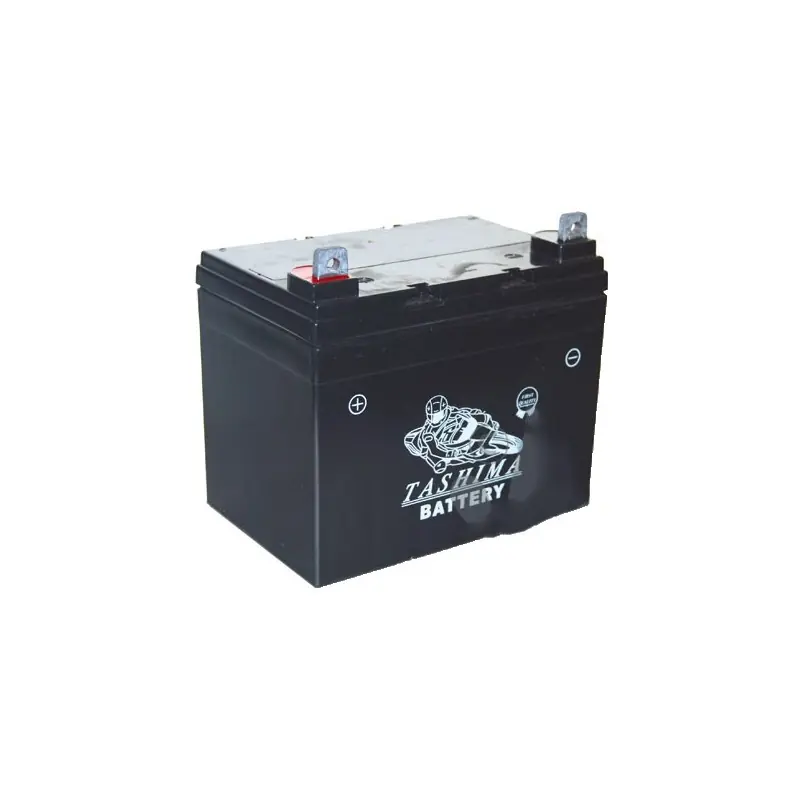 Offre Limitée Batterie gel/agm 100% étanche 12V, 22A pour autoportée. L 195,l 130, h 180, + à gauche.