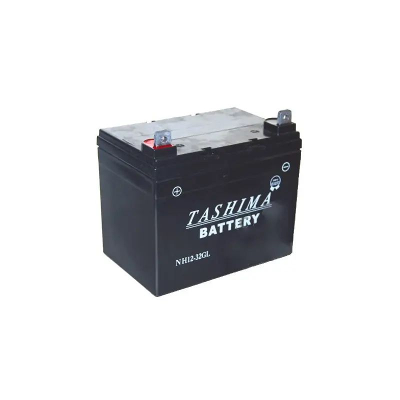 Achetez Aujourd&rsquo;hui Batterie gel/agm 100% étanche 12V, 32A pour tondeuse autoportée. L 195, l 130, h 180, + à gauche.