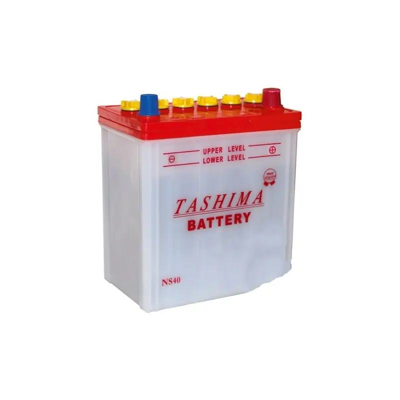 Expédié Aujourd'hui Batterie TASHIMA, sans entretien, pour tondeuse autoportée 12V, 32A, + à droite, bornes étroites type japonaises.