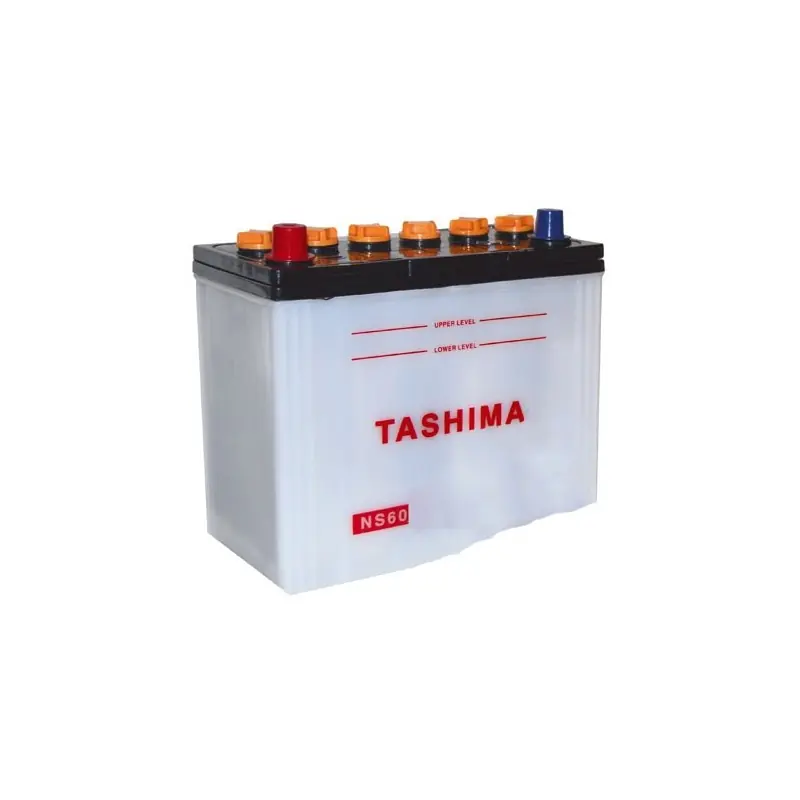 Prix Réduit Batterie TASHIMA, sans entretien, pour tondeuse autoportée 12V, 45A, + à gauche bornes étroites type japonaises.