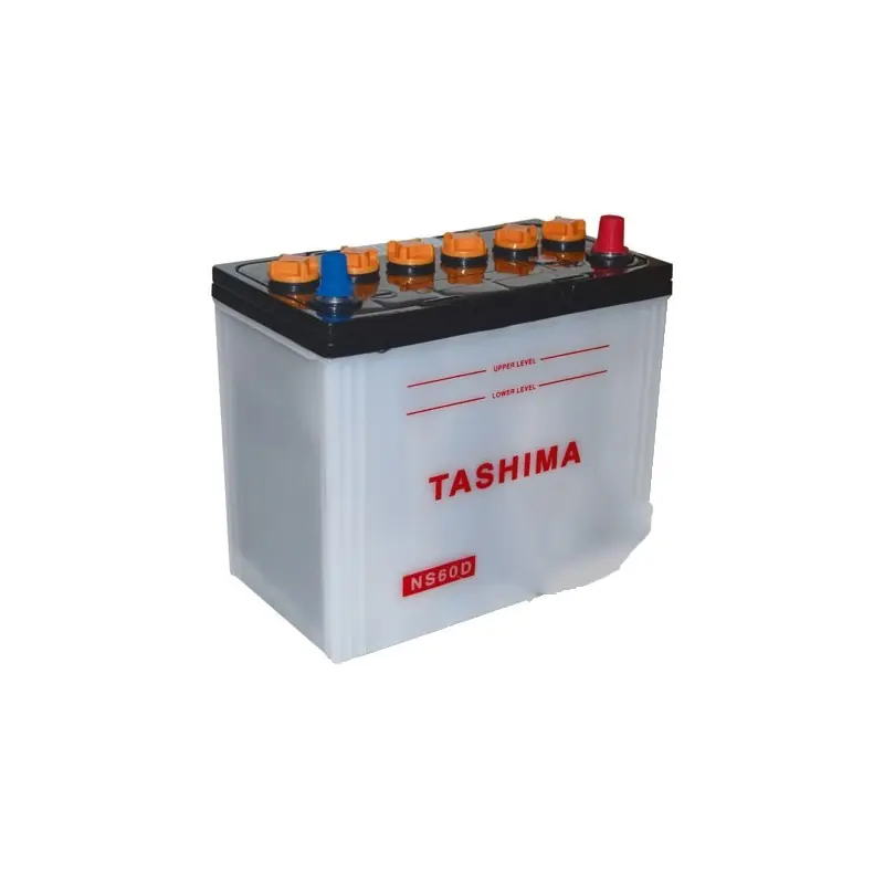 Marque Batterie TASHIMA, sans entretien, pour tondeuse autoportée 12V, 45 Ah, + à droite, bornes étroites type japonaises.