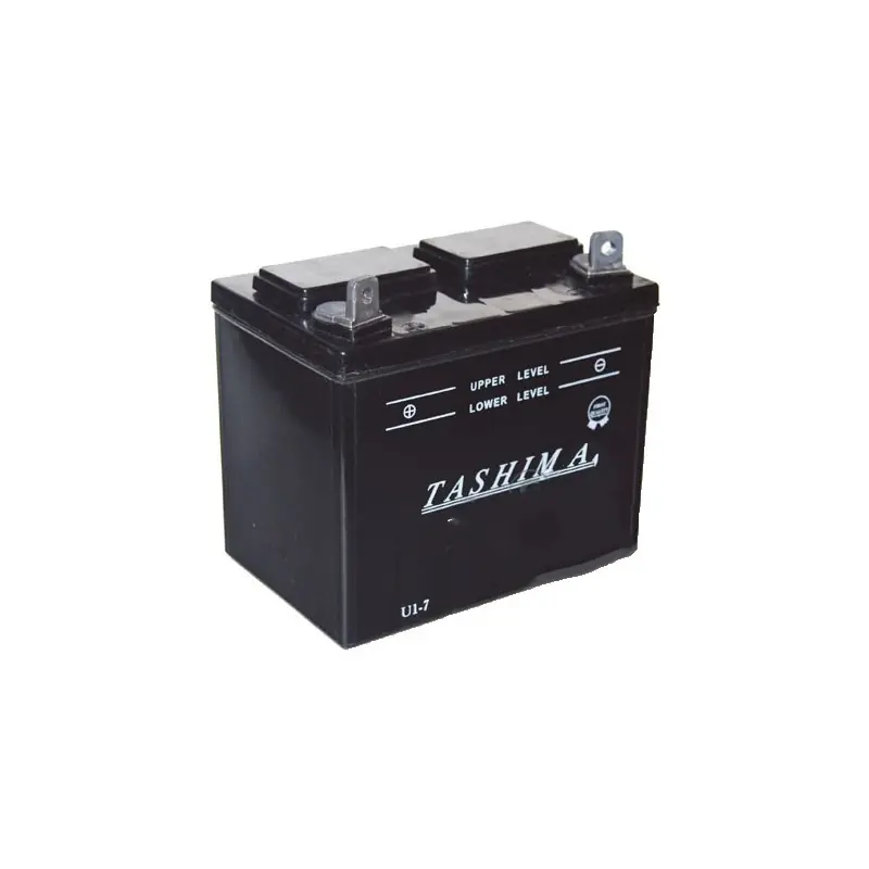 Batterie pour tondeuse autoportée 12V, 18A, + à gauche. (livrée sans acide). Expédition Rapide