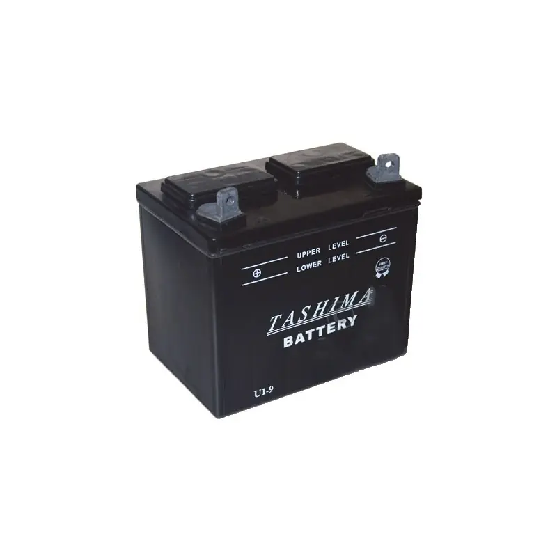 Batterie pour tondeuse autoportée 12V, 24A. L 195, l 130, H 185mm, + à gauche. (livrée sans acide). Remise