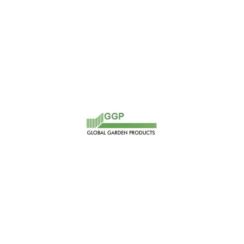 Dernière Chance Moteur GGP Complet WBE0704ES