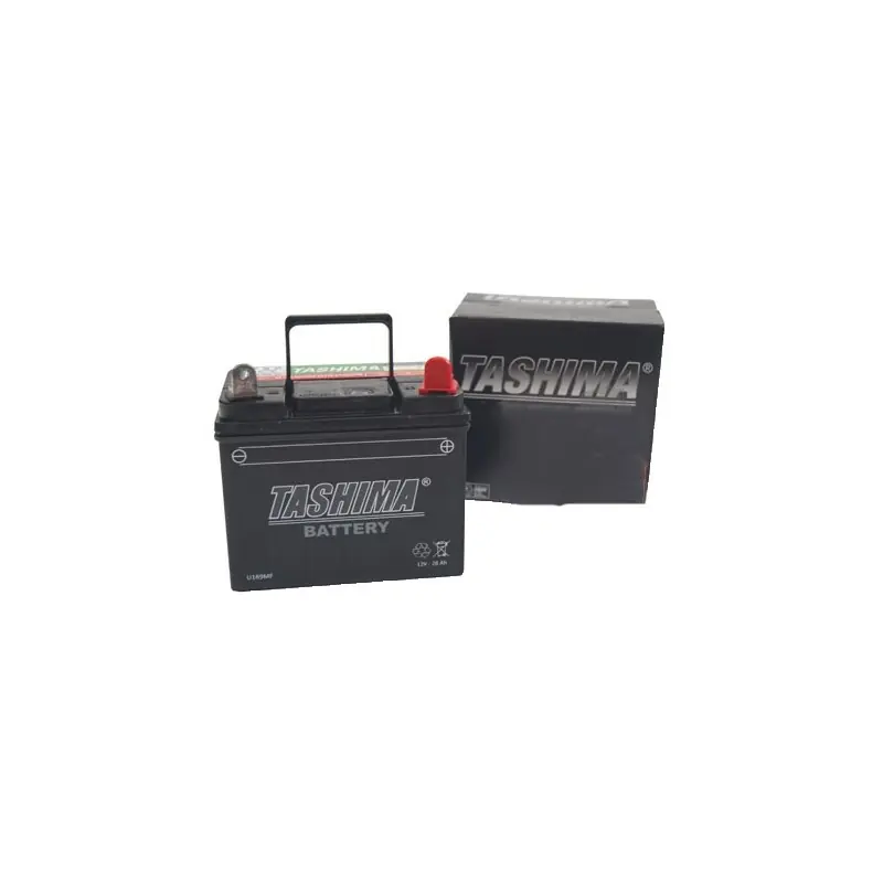 Prix Bas Batterie pour tondeuse autoportée 12V chargée sans entretien, 28A. L 195, L 130, H 185mm, + à droite.