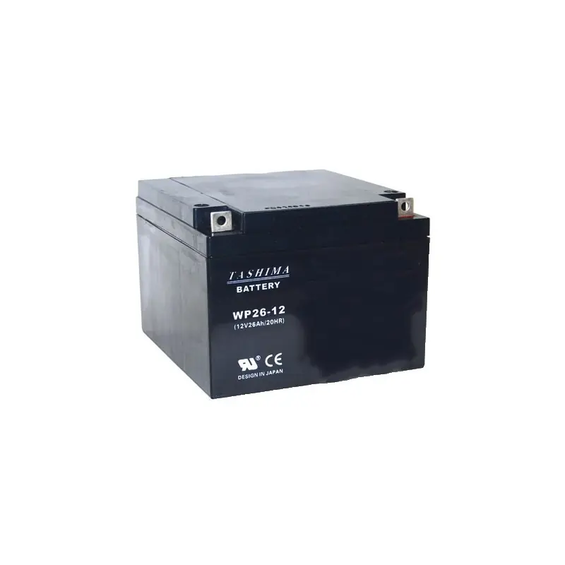 Usine Directe Batterie motoculture 12V, 26A. L 165, L 175, H 125mm, + à droite.
