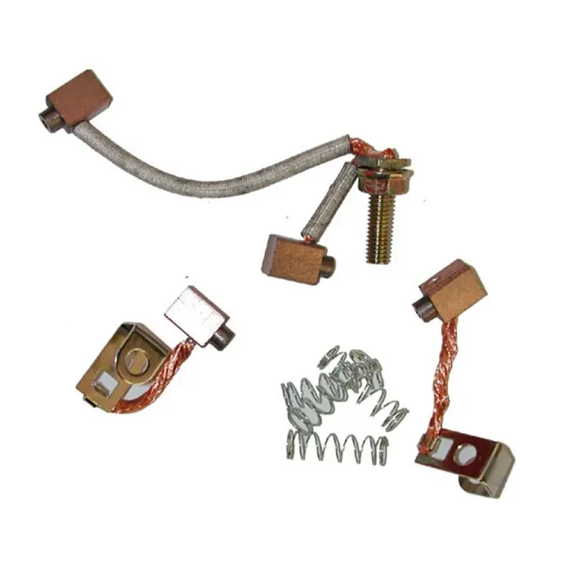 Prix Bas Jeu de charbons BRIGGS & STRATTON pour démarreurs.