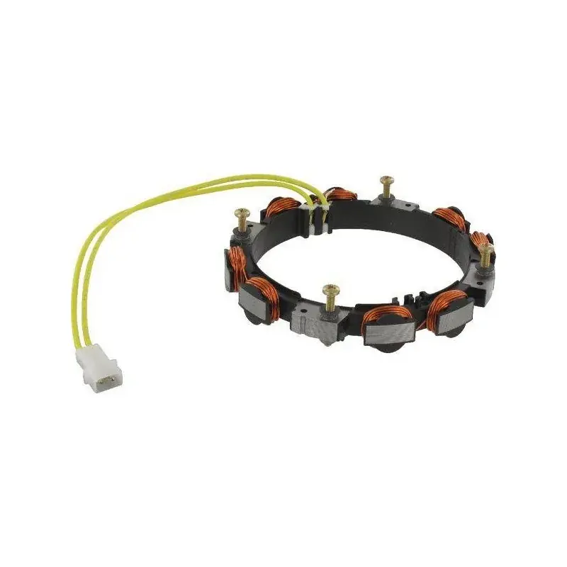 Livraison Express Alternateur BRIGGS ET STRATTON 592830 – 696458