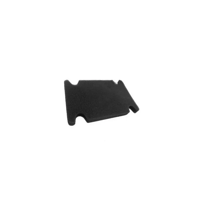 Remise Mousse filtre à air moteur motobineuse Staub, Pubert, Loncin