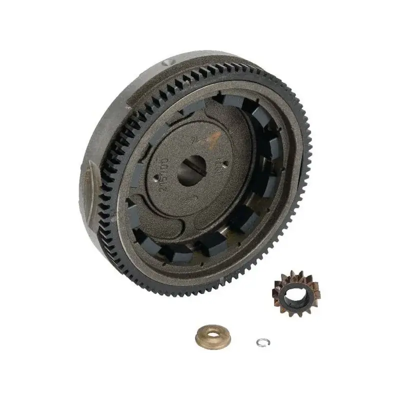 Top Vente Volant d‘inertie BRIGGS ET STRATTON 591759