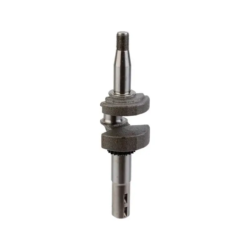 Vilebrequin BRIGGS ET STRATTON 595241 Prix Promo
