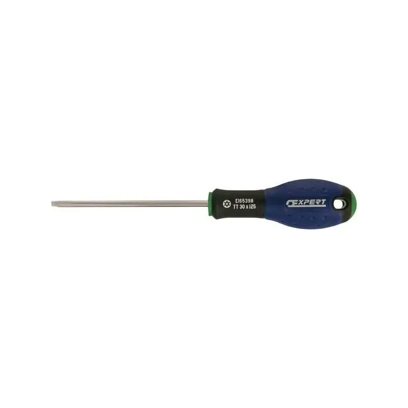 Tournevis TT30x125 EXPERT E165398 Offre Exclusive