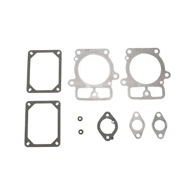 Kit joints d‘étanchéité BRIGGS ET STRATTON 594214 Promotion