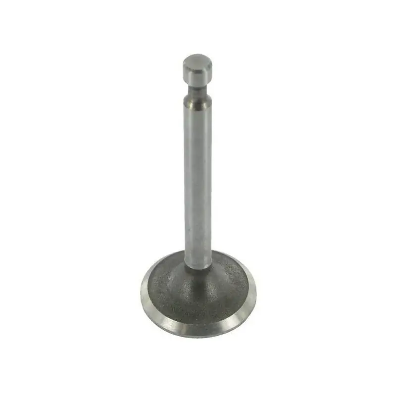 Soupape d‘échappement BRIGGS ET STRATTON 590531 Nouveauté
