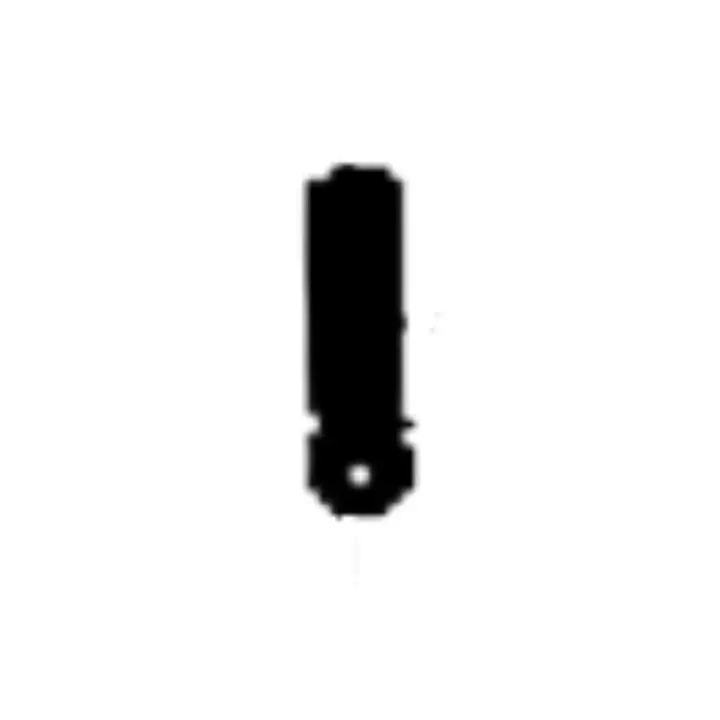 Populaire Plume 5796870-01