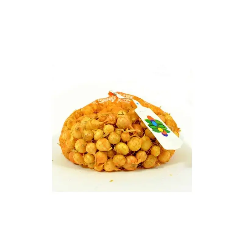 OIGNONS JAUNES DE SEMENCE STURON FILET 500G Top Vente