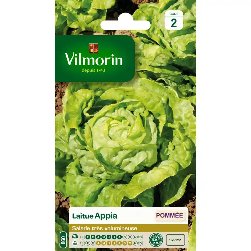 LAITUE APPIA – VILMORIN Marque