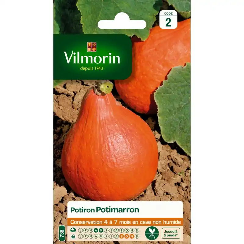 Livraison Express POTIRON POTIMARRON – VILMORIN