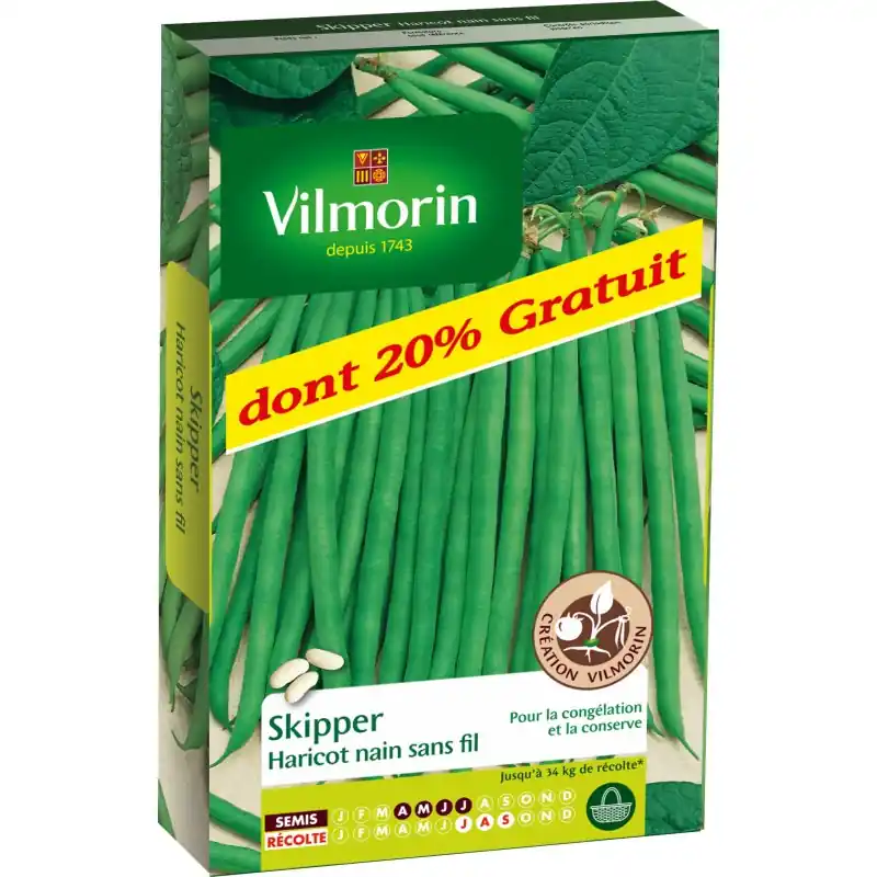 Prix Cassé HARICOT NAIN SANS FIL SKIPPER DONT 20% GRATUIT – VILMORIN