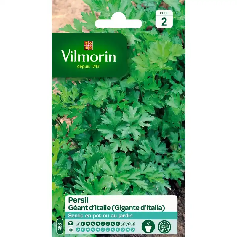PERSIL GÉANT D‘ITALIE – VILMORIN Retour Gratuit