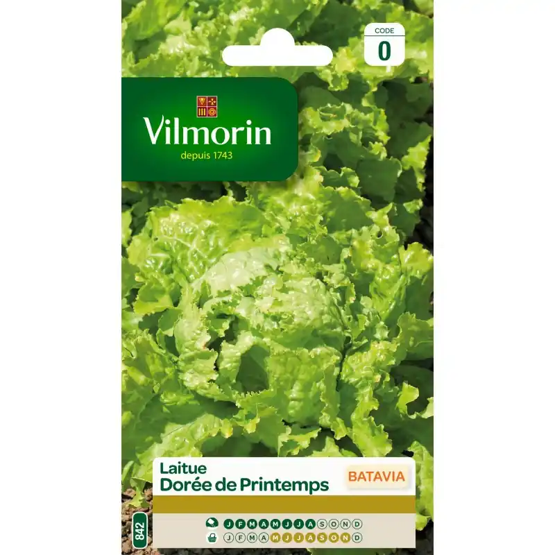 Livraison Express LAITUE BATAVIA DORÉE DE PRINTEMPS – VILMORIN